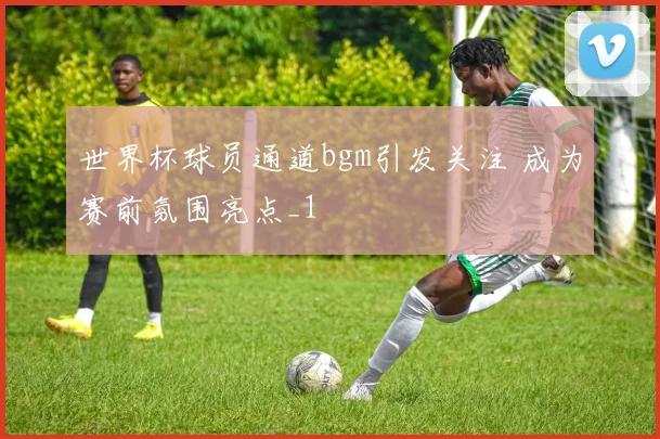 世界杯球员通道bgm引发关注 成为赛前氛围亮点_1