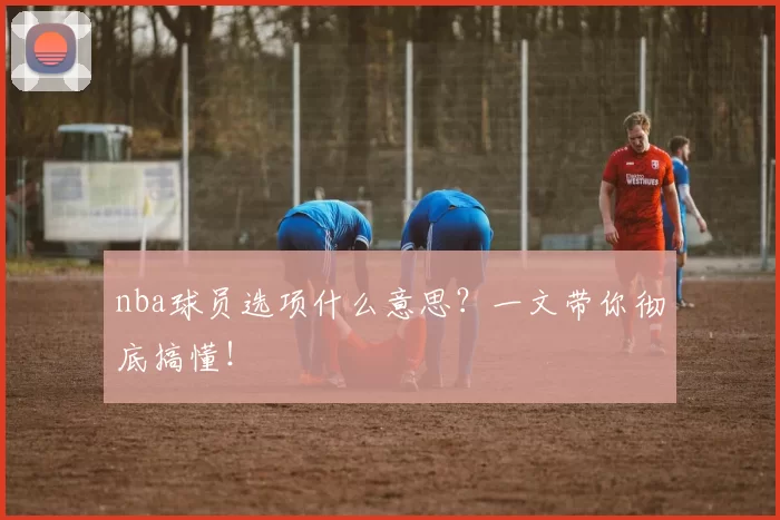 nba球员选项什么意思？一文带你彻底搞懂！