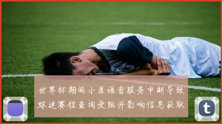 世界杯期间小度语音服务中断导致球迷赛程查询受阻并影响信息获取