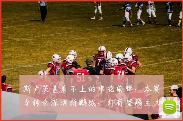 斯卢茨基看不上的申花前锋，本赛季转会深圳新鹏城，却有望踢主力_戴伟浚_陈涛_球迷